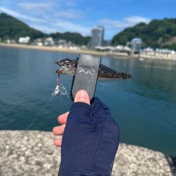 アナハゼ