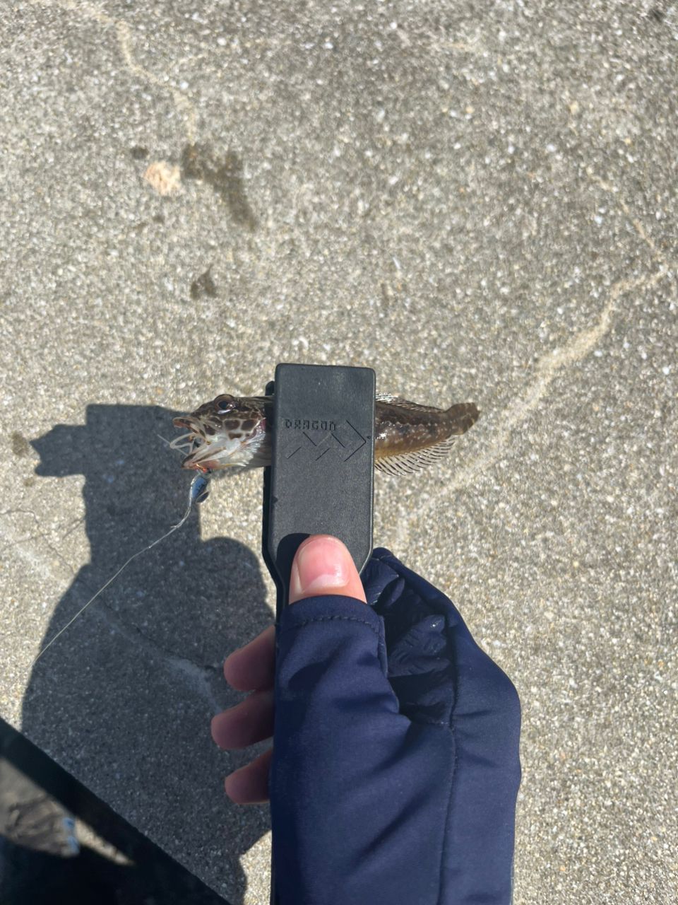 アナハゼ