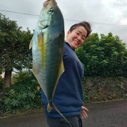 シマアジ