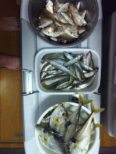 三河湾