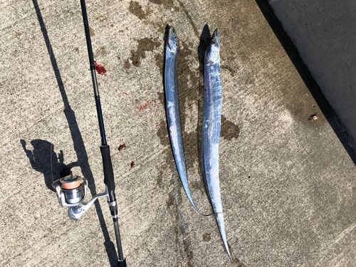 大浜釣り公園（金沢港ふれあい広場）