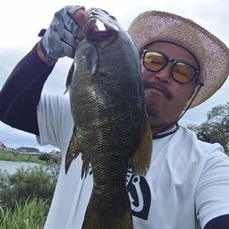 スモールマウスバス