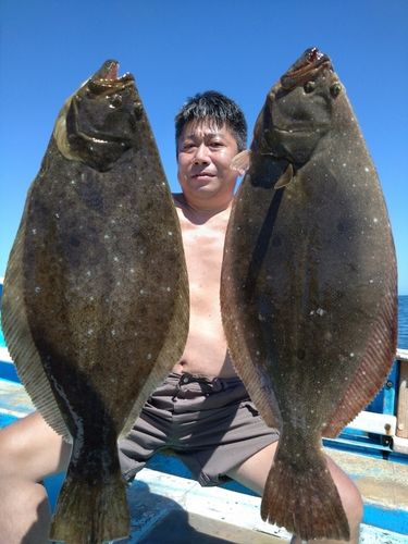 ヒラメの釣果