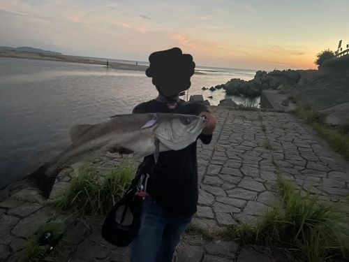 美保湾