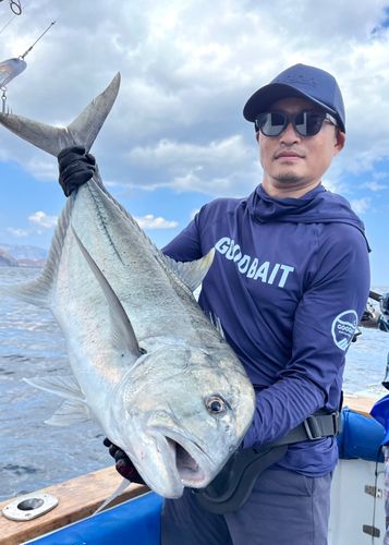 GTの釣果