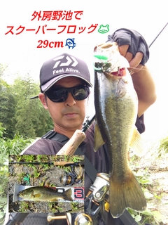 ブラックバスの釣果