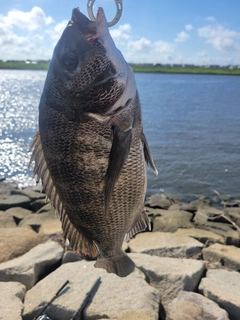 釣果