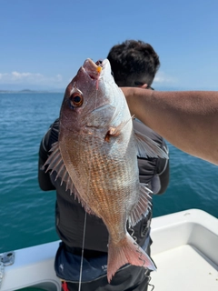 タイの釣果