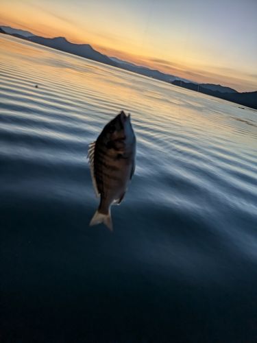 しまなみ海道