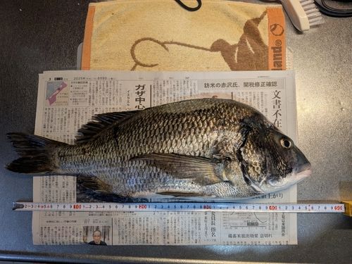 伊勢湾湾奥