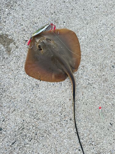 福間漁港海浜公園