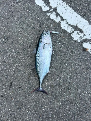 内海