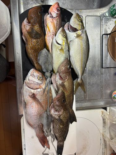 宇和海