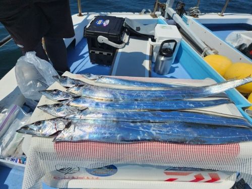 タチウオの釣果