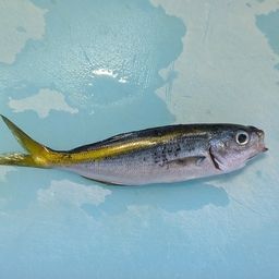 タカベ