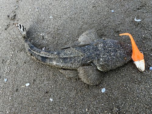 潜ヶ浦水道