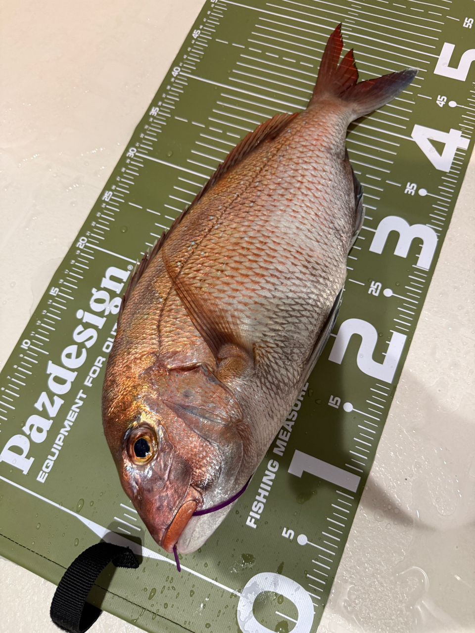 k1mrwoooonderさんの釣果 2枚目の画像