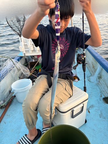タチウオの釣果