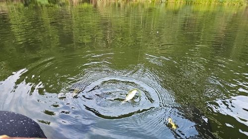 小仁熊ダム
