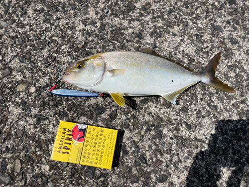 豊田湖