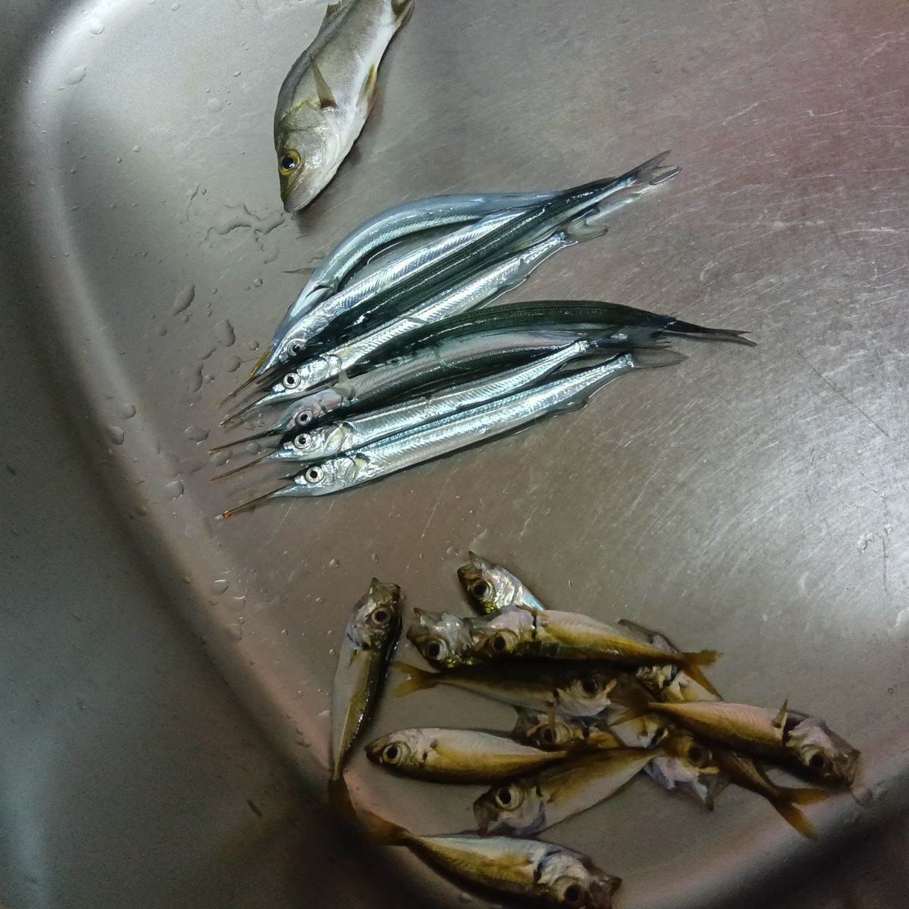 アジ