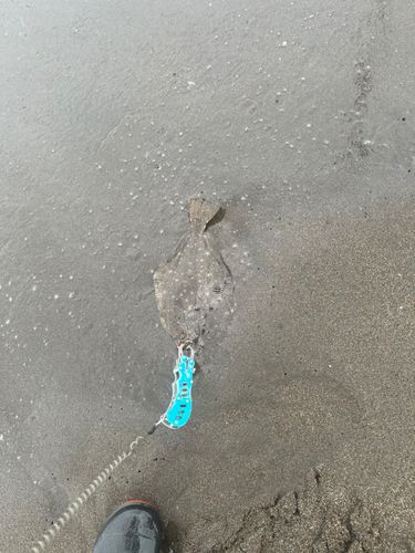 石狩川下流