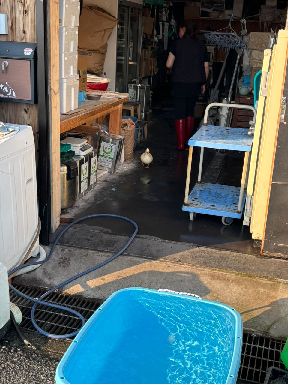 てっちりさんさんの釣果 2枚目の画像