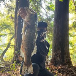 ブラックバス
