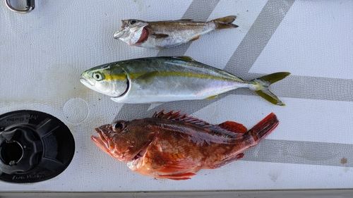 西湘サーフ