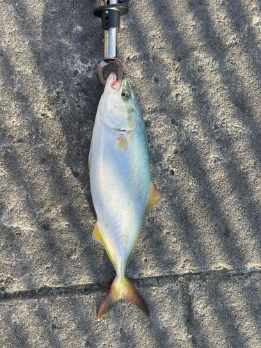 明石浦漁港