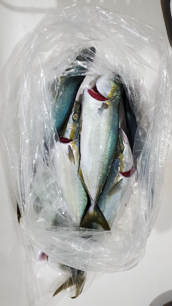 ワカシ