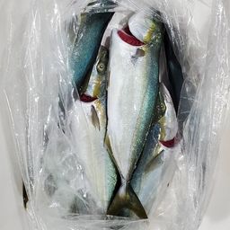 ワカシ