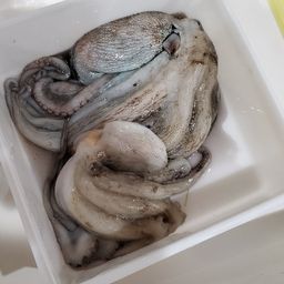 タコ