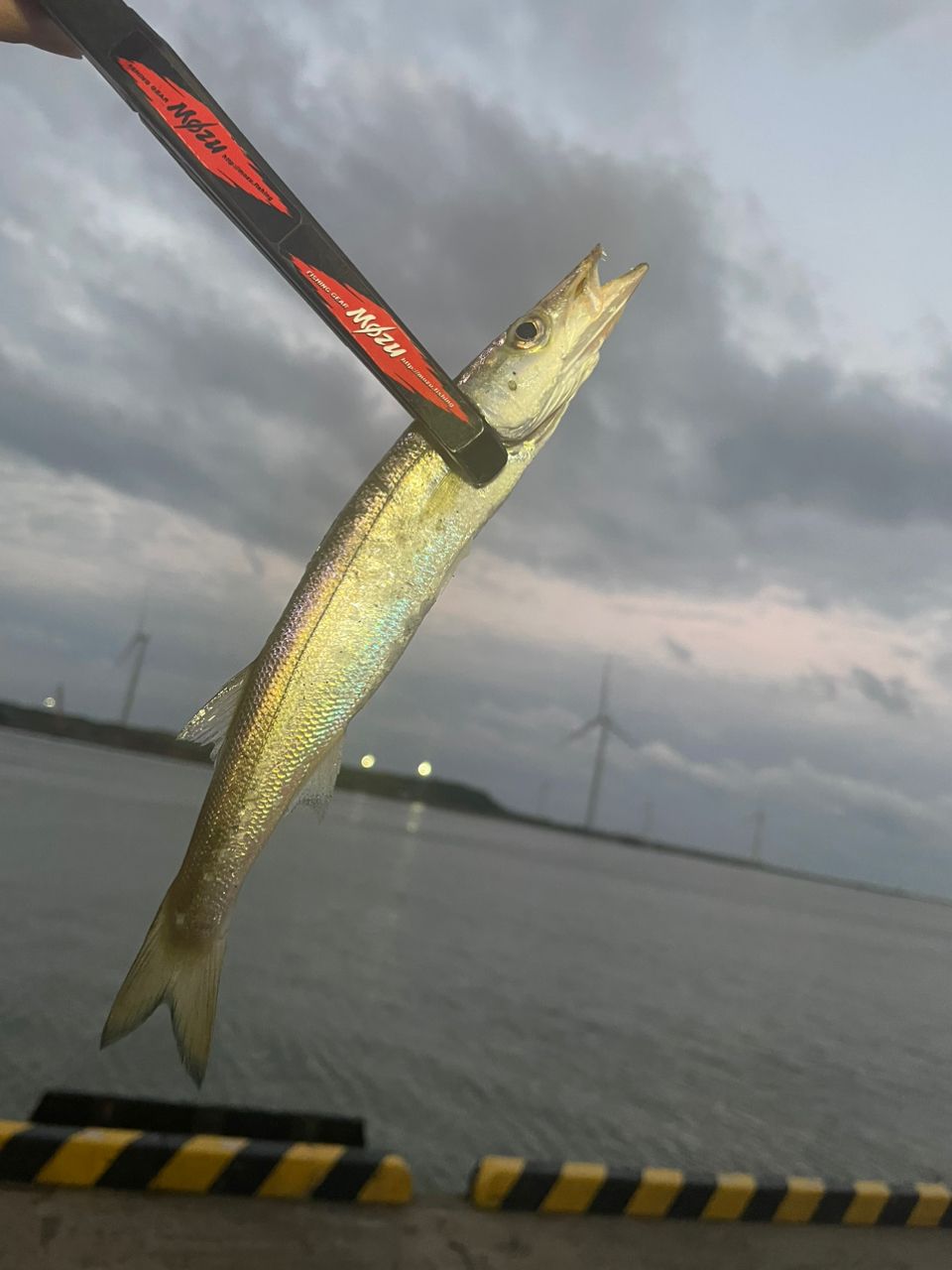 カマス
