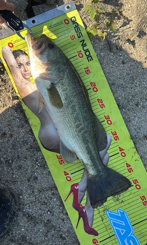 月ヶ瀬湖