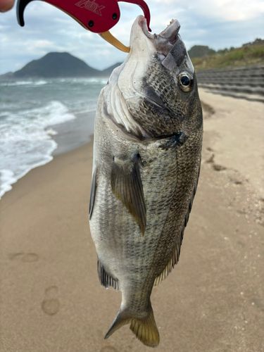 岩戸漁港