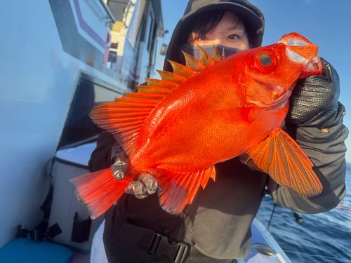 チカメキントキの釣果
