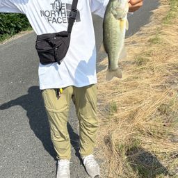 ブラックバス