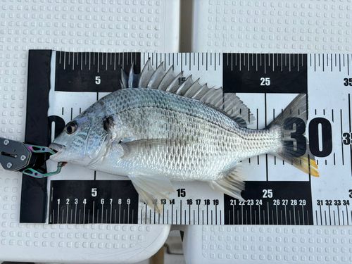 浜名湖