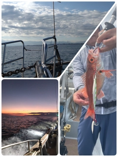 アカムツの釣果