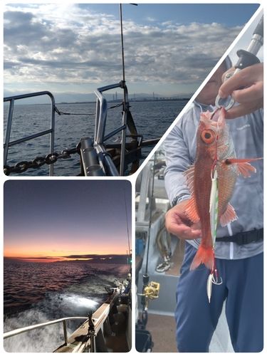 アカムツの釣果