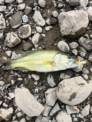御所湖
