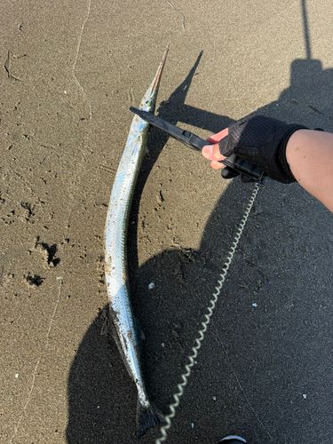 釣果