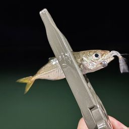 アジ