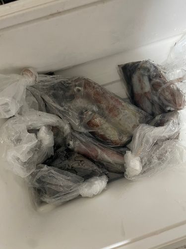 角力灘
