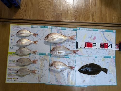 ヒラメの釣果
