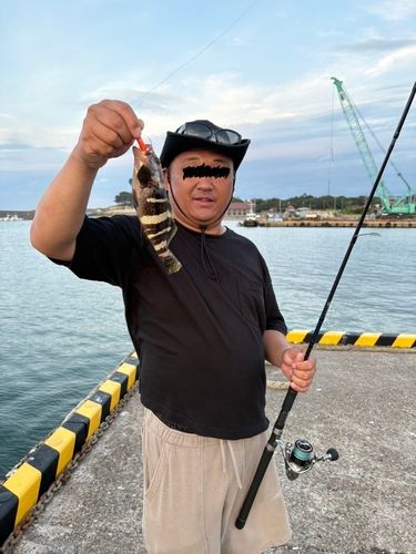 橋立漁港