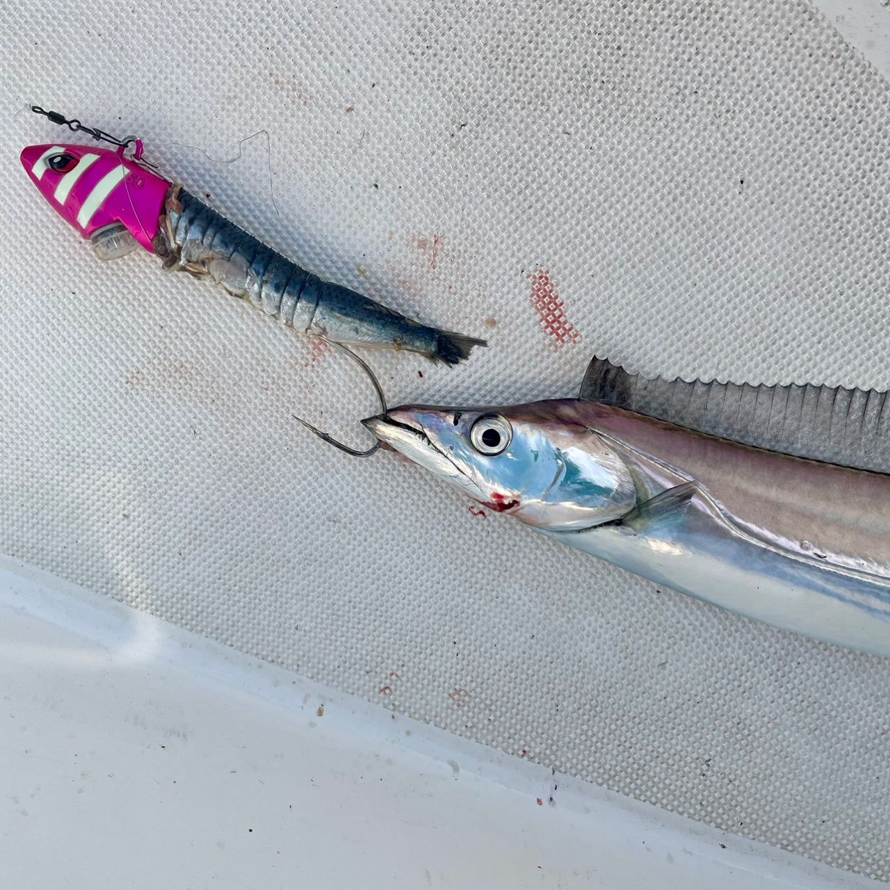 f*n様 極鋭　タチウオテンヤSP 91H-165 AGS DAIWA 21極鋭 タチウオ テンヤ SP 91H-165AGSの最安値・インプレ