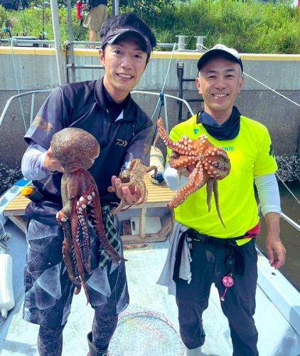 タコの釣果