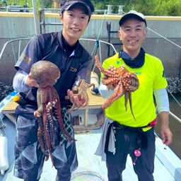 タコ